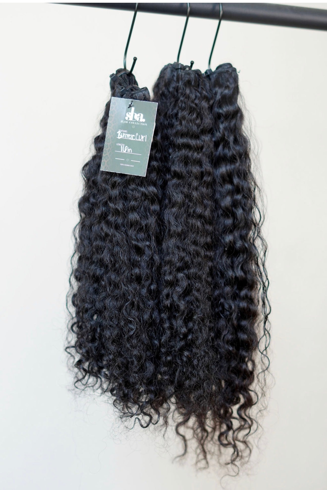 Raw Burmese Curly